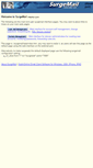 Mobile Screenshot of icsmail.icshq.com